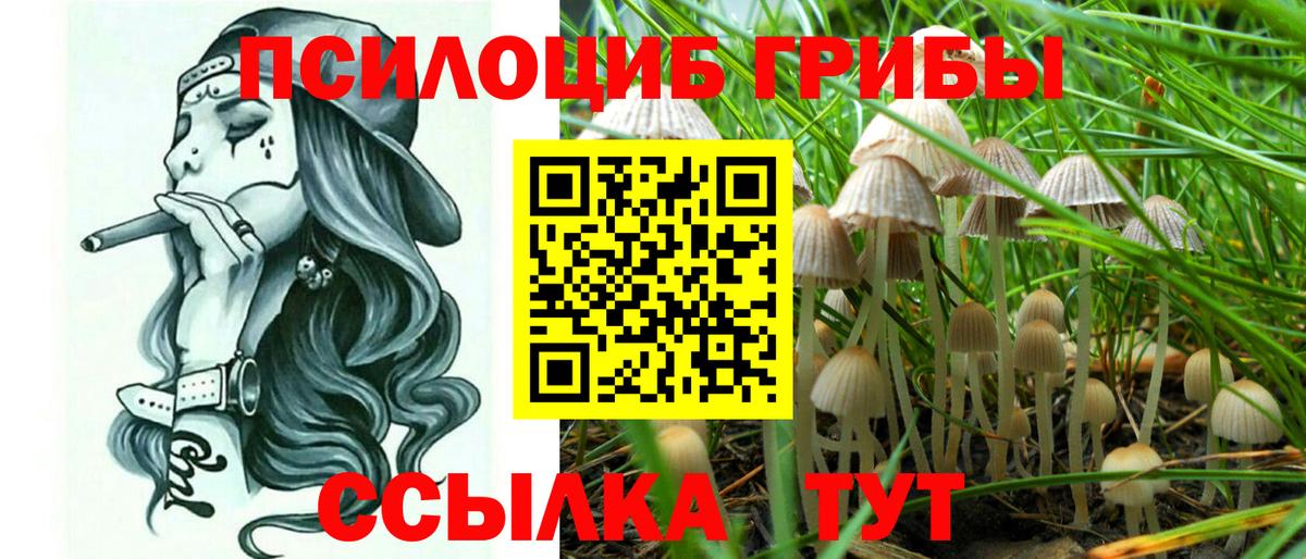 Удомля  Галлюциногенные грибы Cubensis  Вход с VPN 